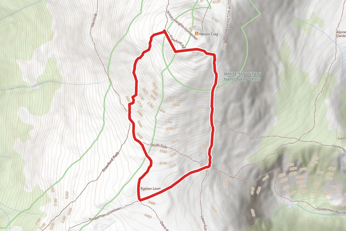 Mount Washington Summit Loop Trail