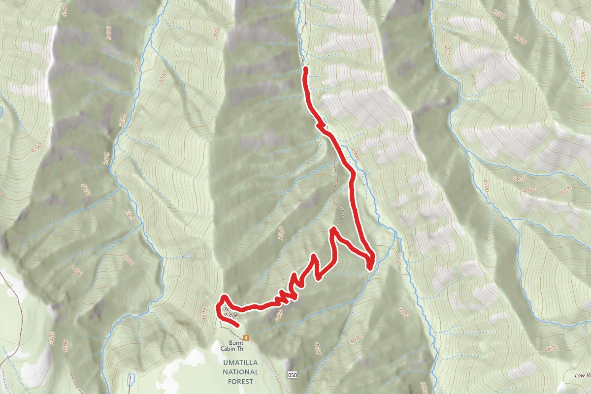 Burnt Cabin Trail