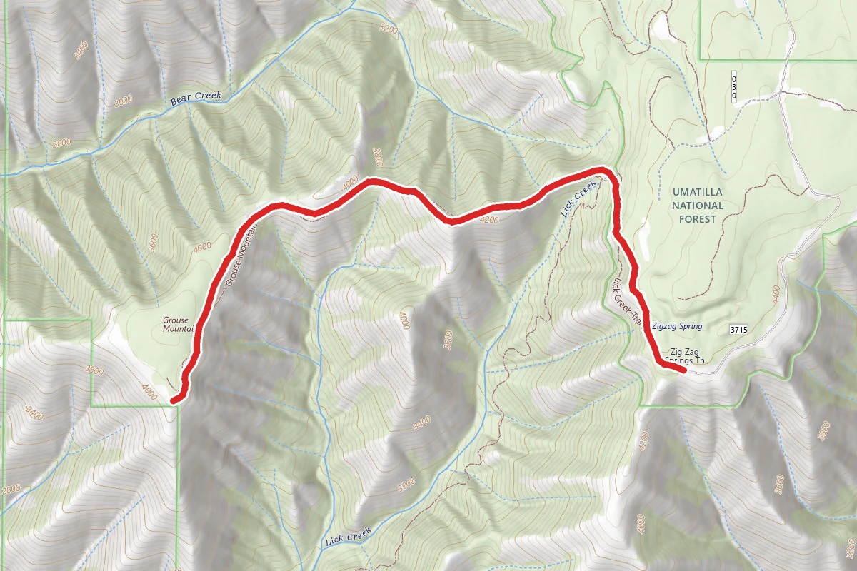 Grouse Mountain Trail