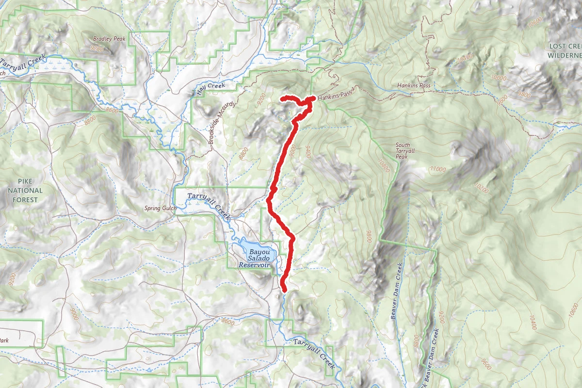 Lizard Rock Trail