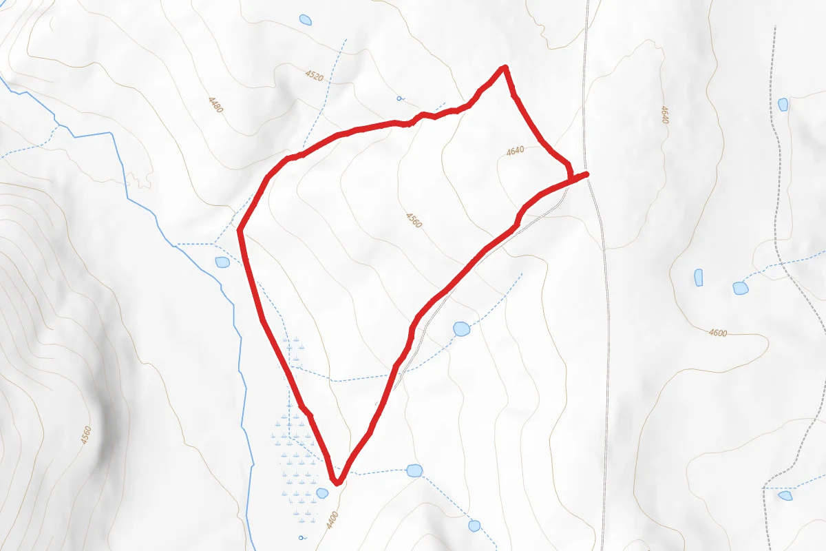 Horned Lark Trail