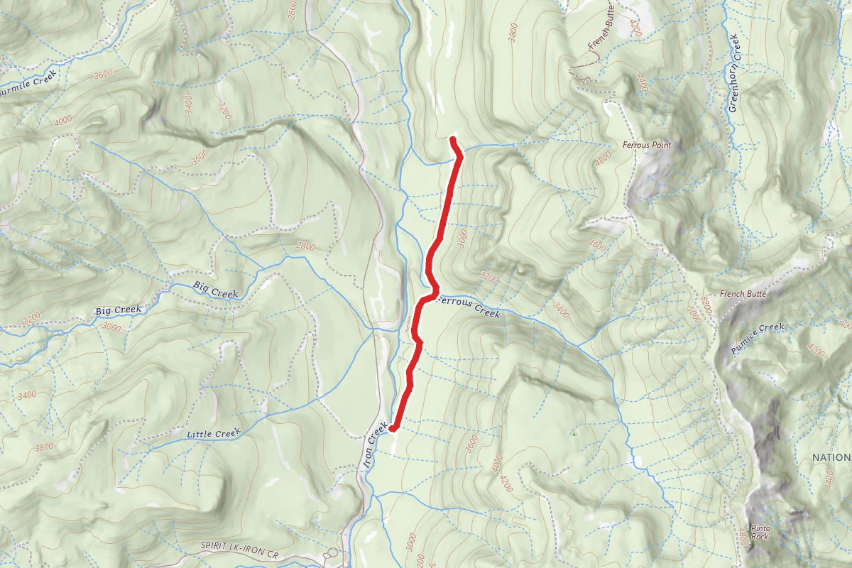 Forest Road 7708