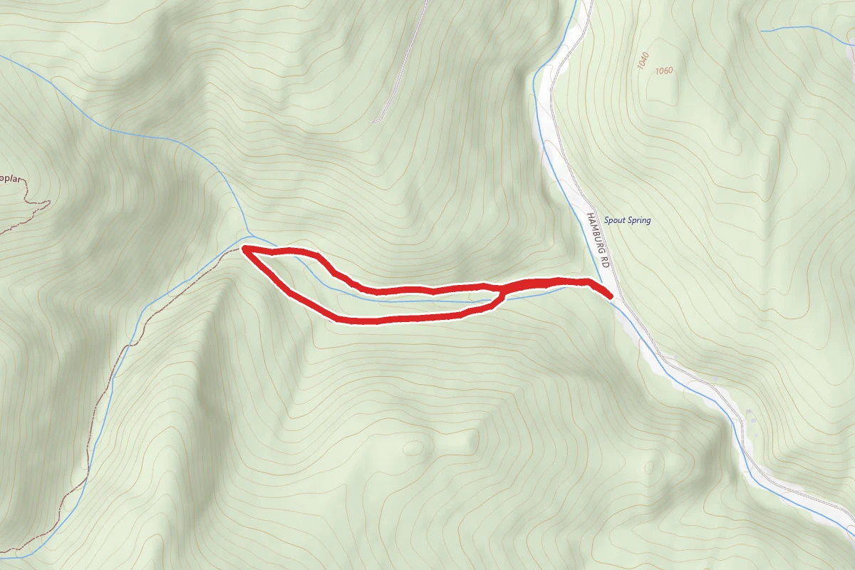 Rocky Stream Bed Trail Loop