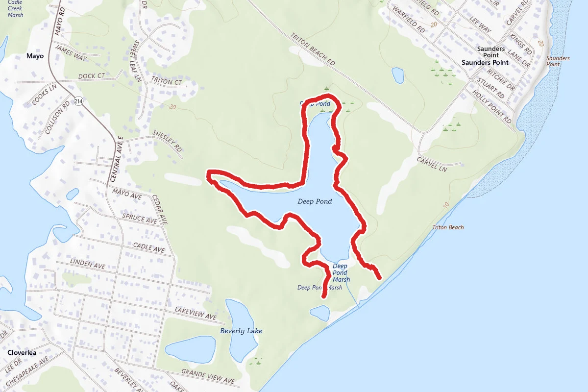 Deep Pond Trail