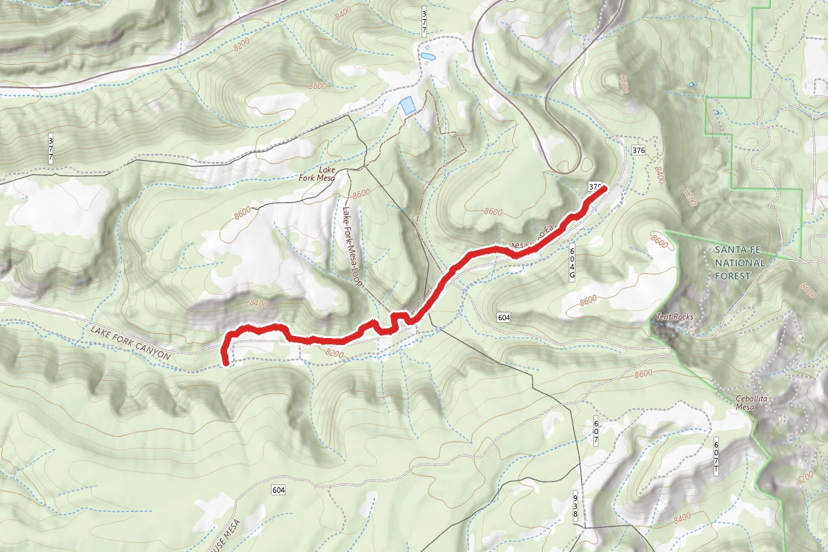 Lake Fork Mesa