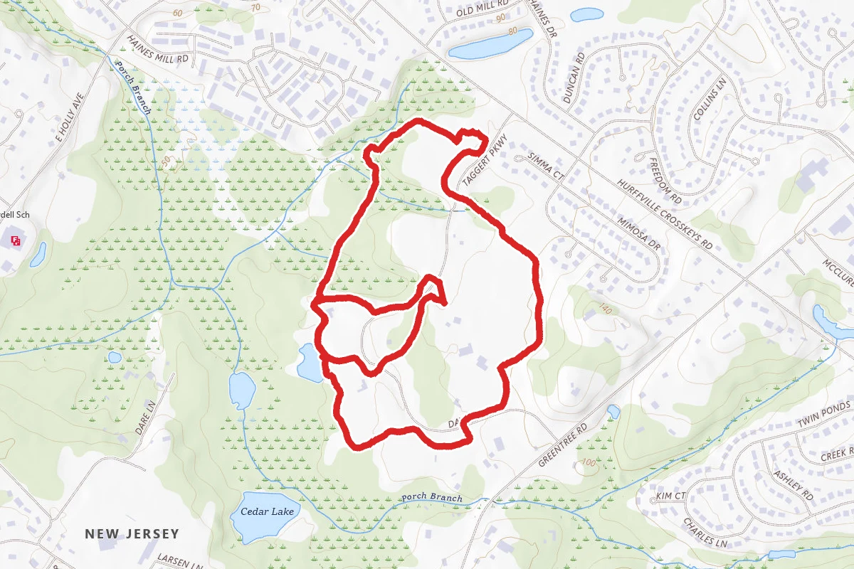 Washington Lake Park Loop
