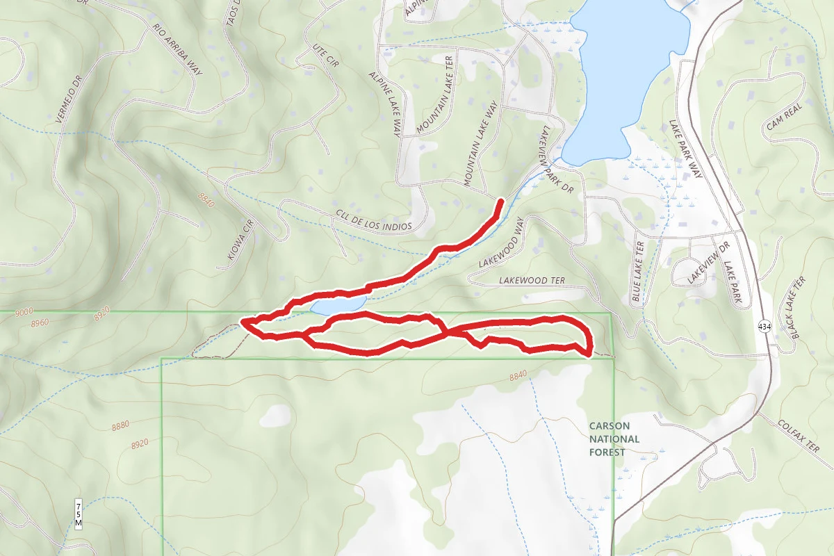 Lady Slipper Trail