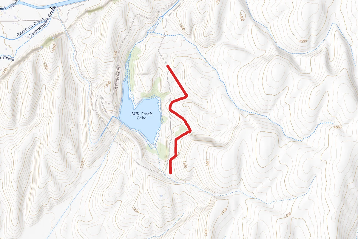 Whitetail Trail