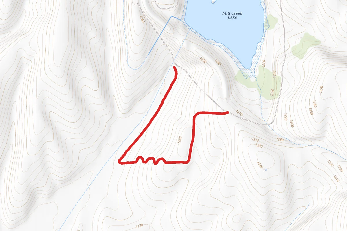 Whitetail Trail