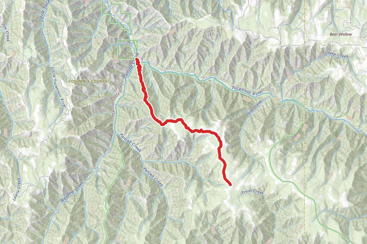 Rattlesnake Trail