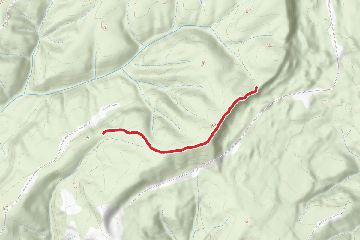 Cougar Rocks Trail