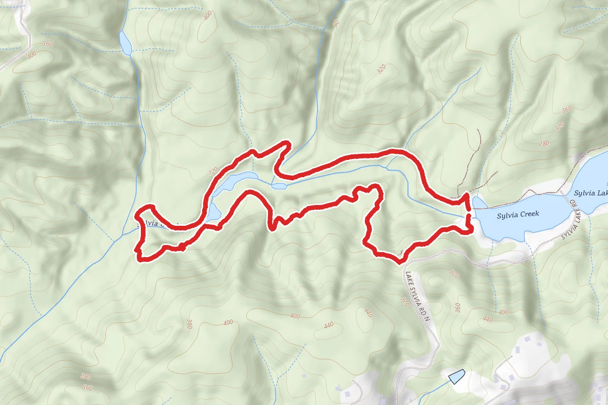 Sylvia Creek Forestry Trail