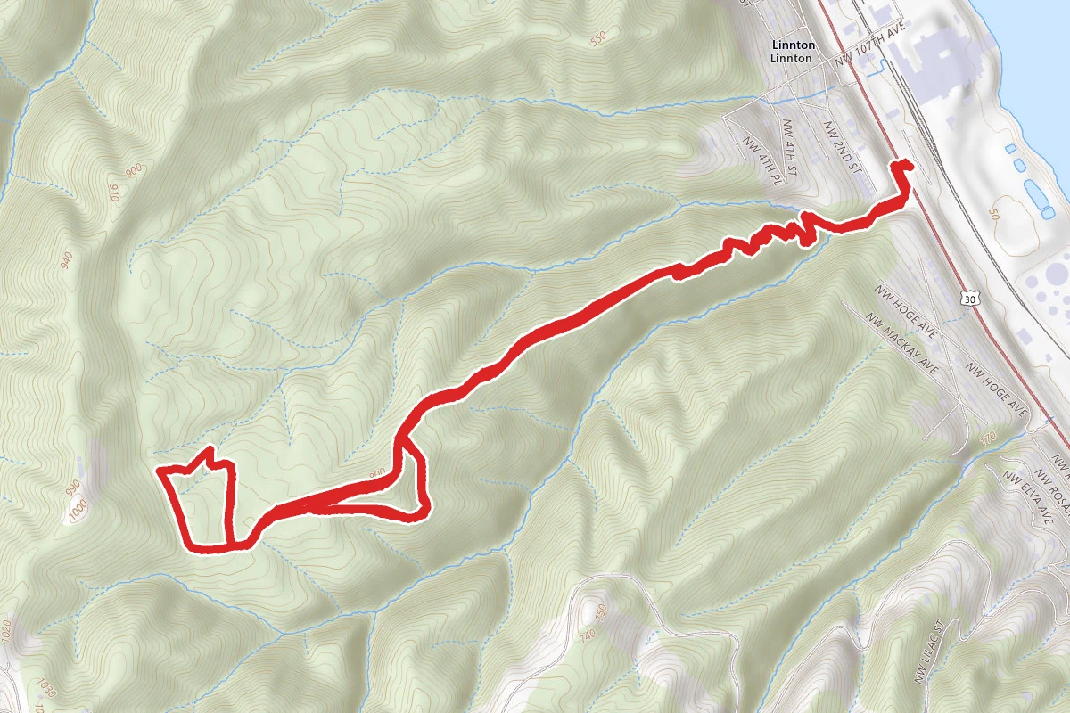 Linnton Trail