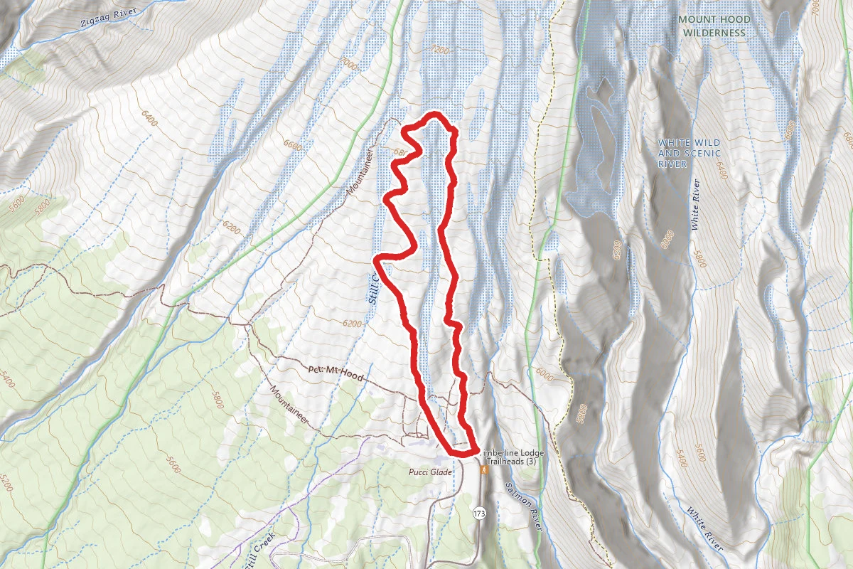 Silcox Hut Trail
