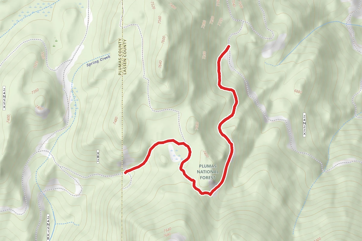 Diamond Mt