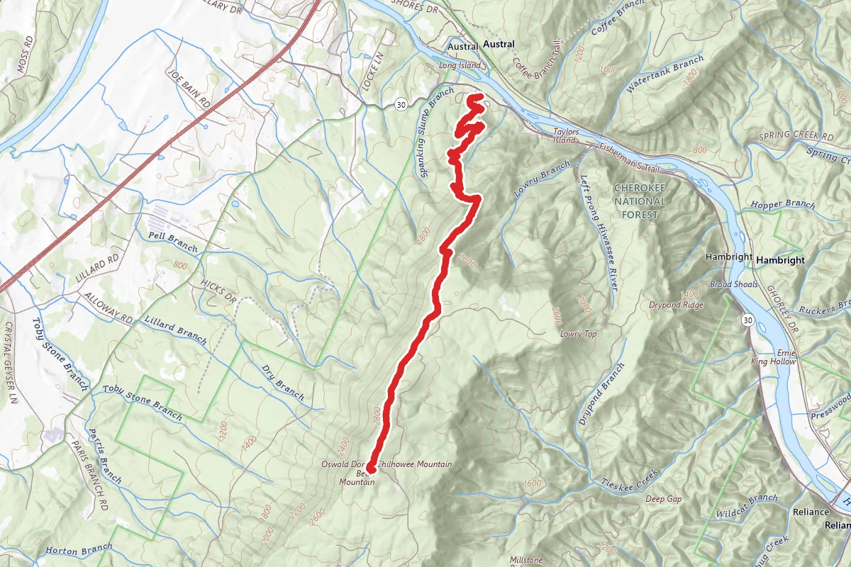 Oswald Dome Trail via Lowery Cove Trail