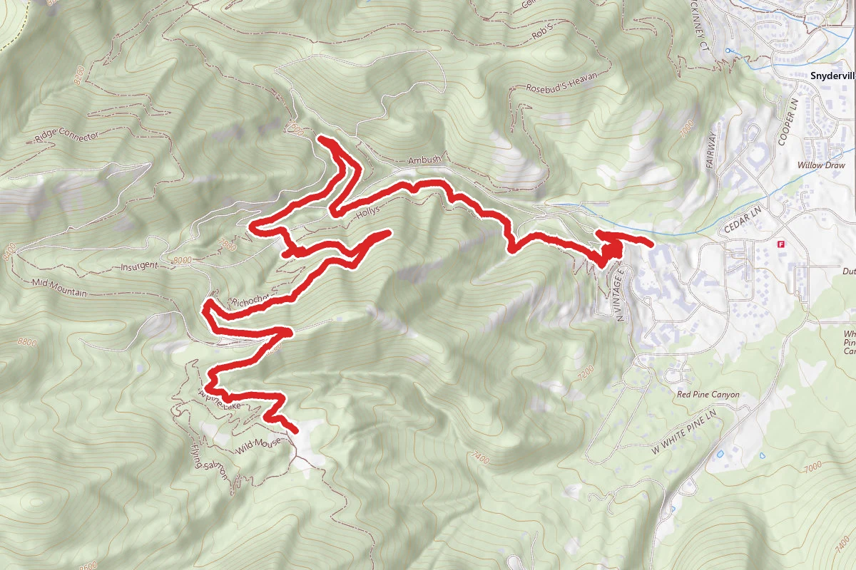 Holly’s Trail to Mid Mountain