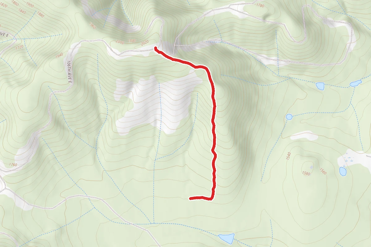 New Forestry Loop