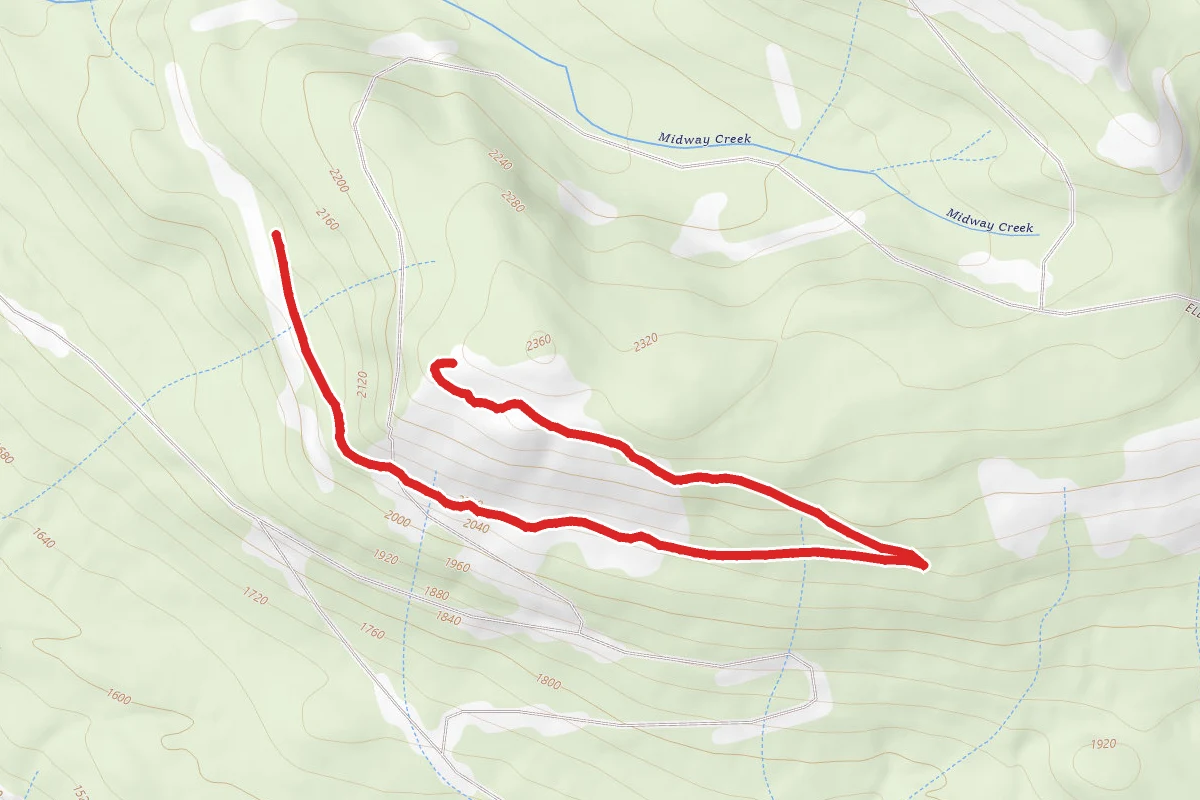 Scout Loop