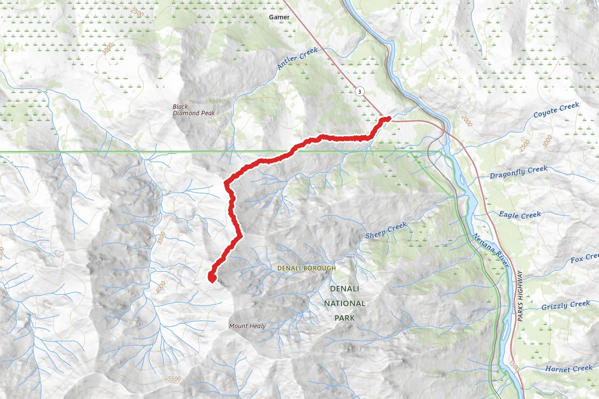 Bison Gulch