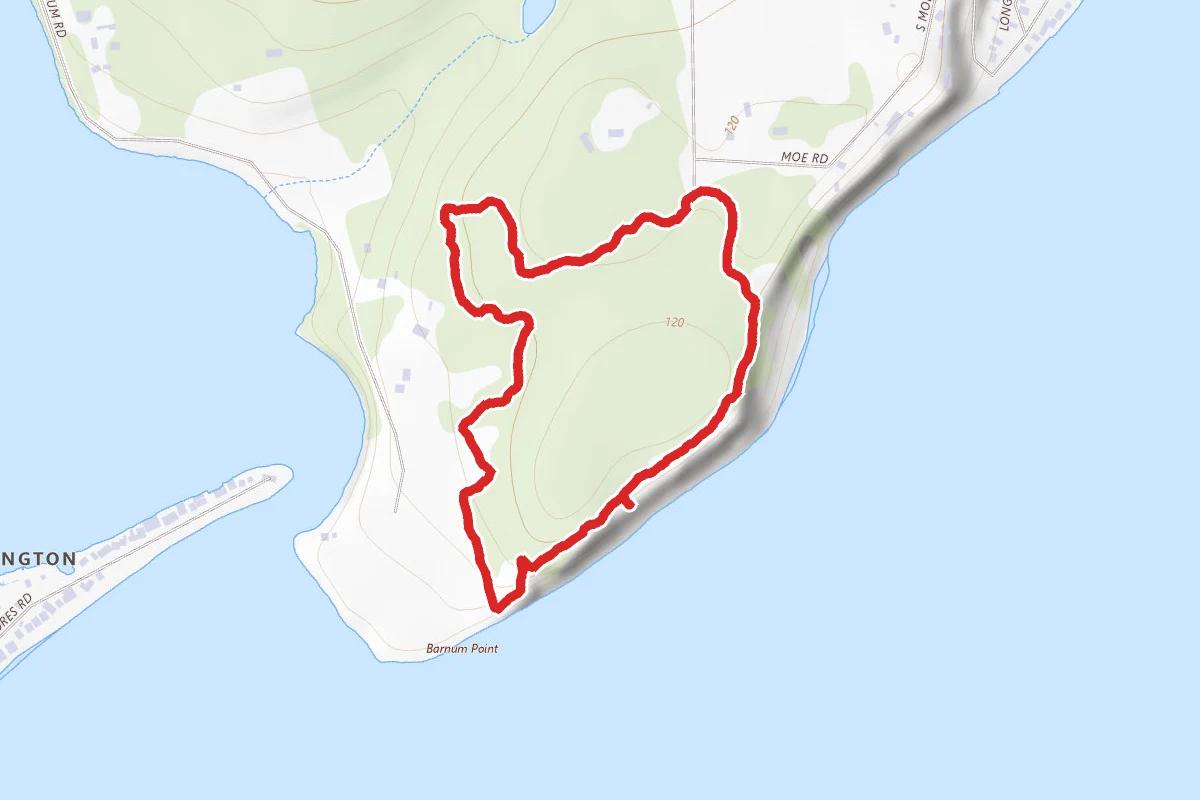Holly and Bluff Loop