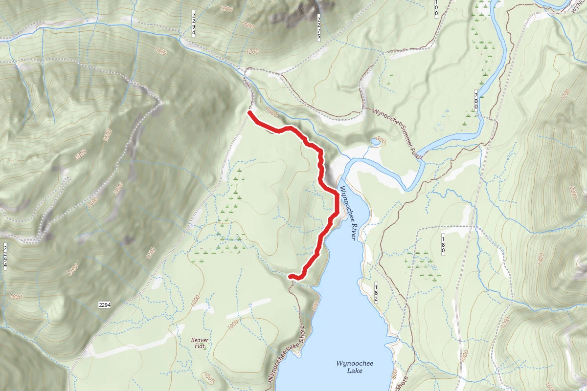 Wynoochee Lake Shore Trail #878