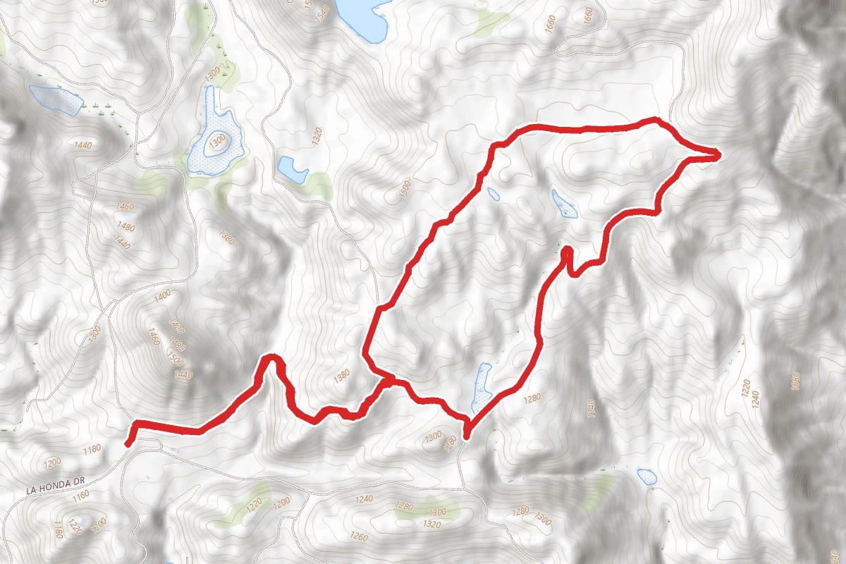 Sage Trail to Coyote Run Trail Loop