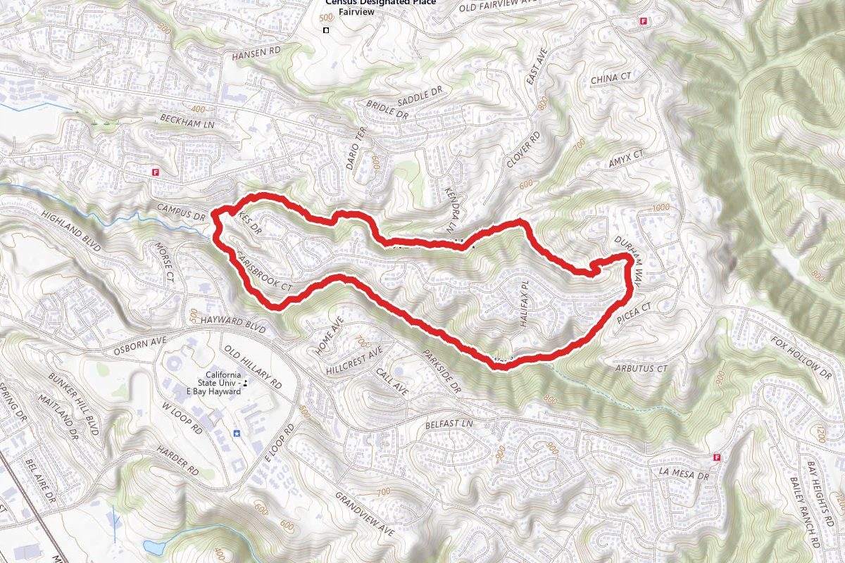 East Avenue and Ward Creek Trail Loop