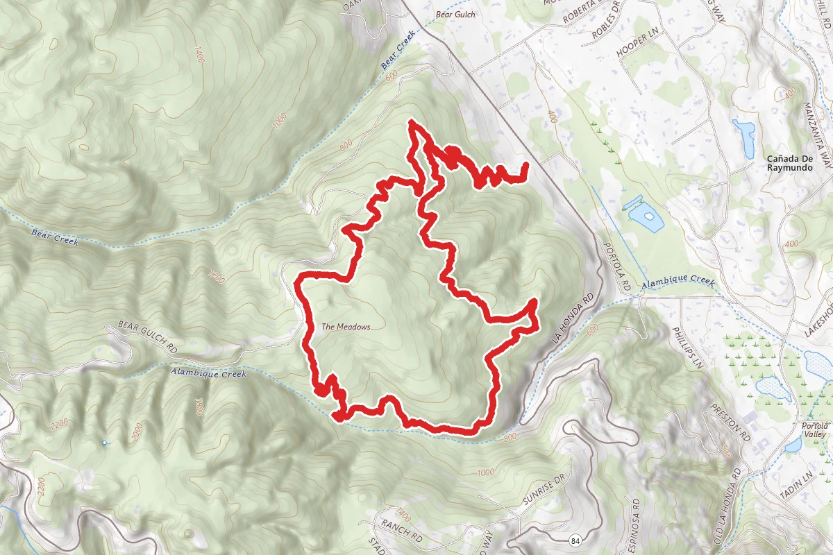 Bear Gulch, Alambique, Meadow and Madrone Trail Loop