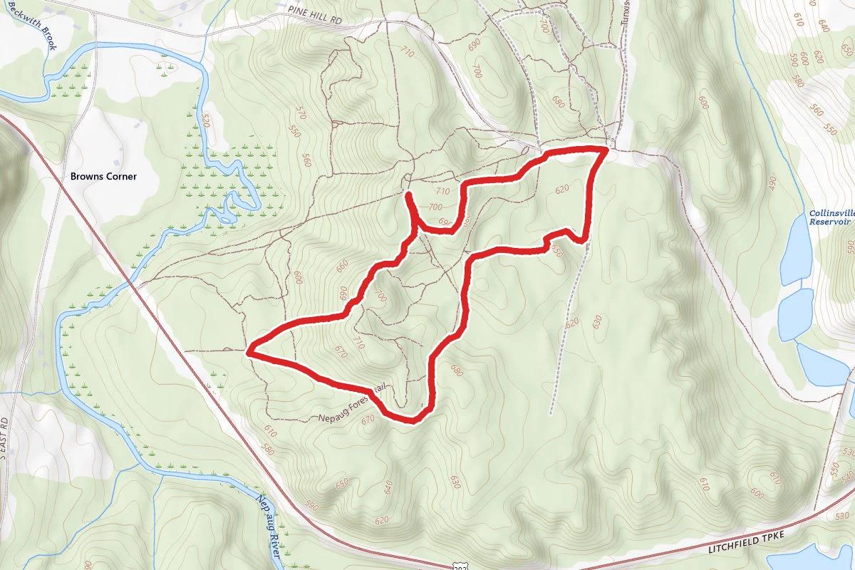 Nepaug State Forest Trail