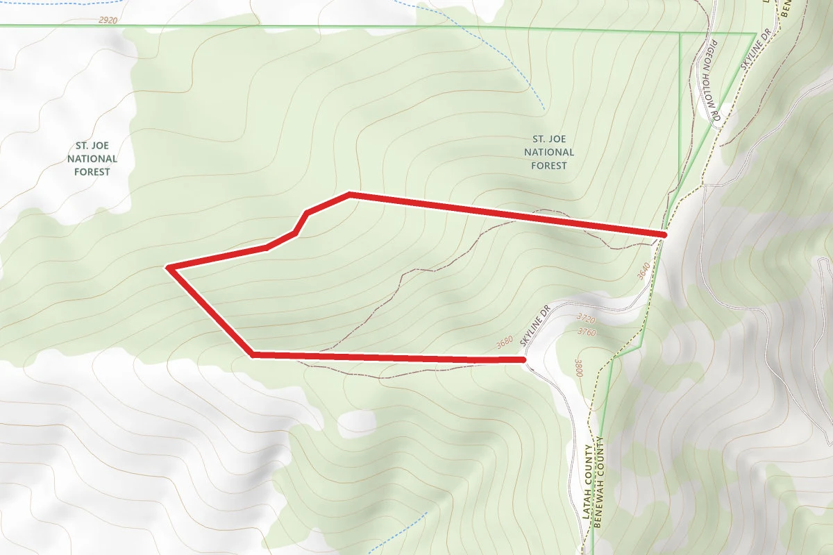 Kerttu Trail