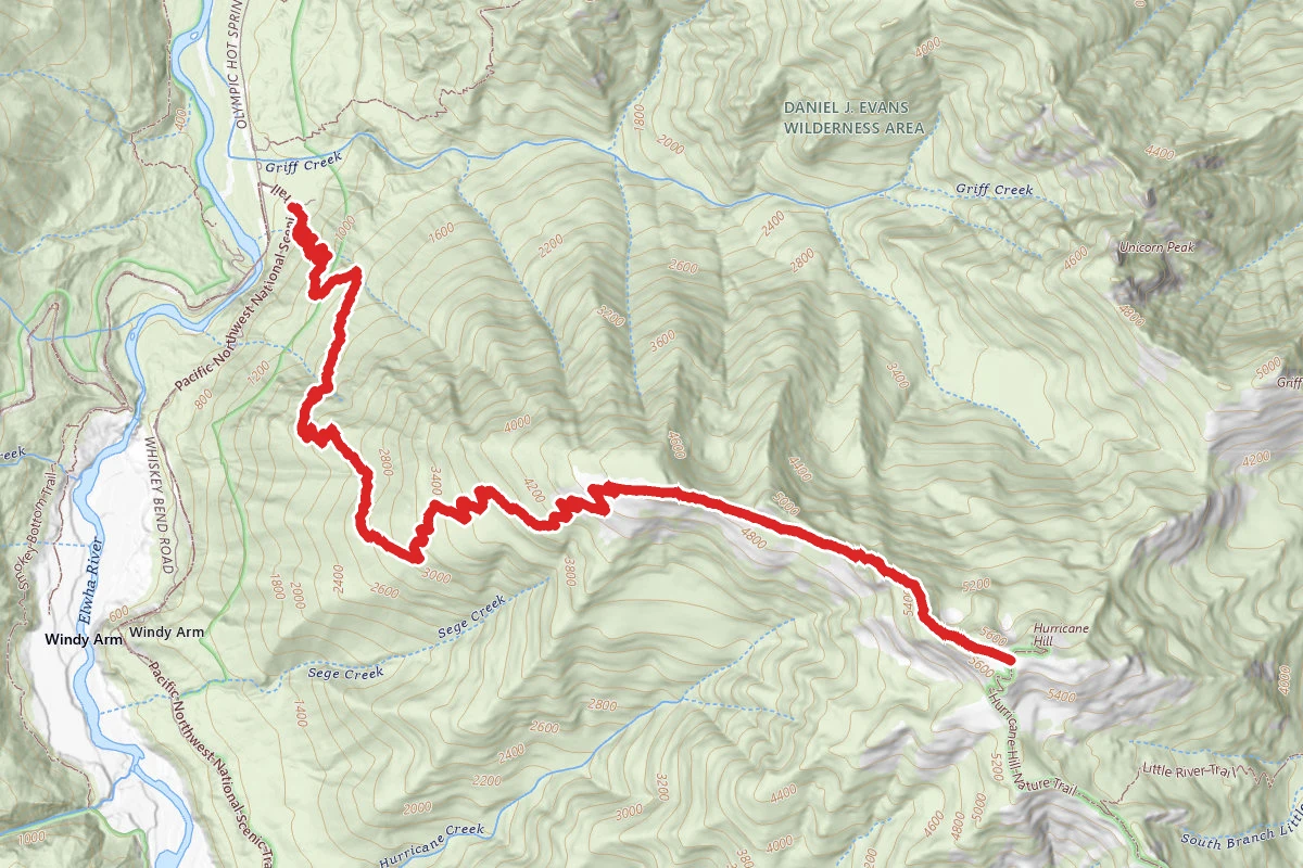 Elwha to Hurricane Hill Trail