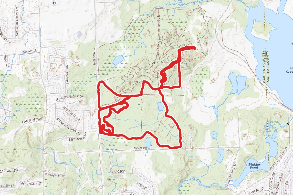The Pines Loop