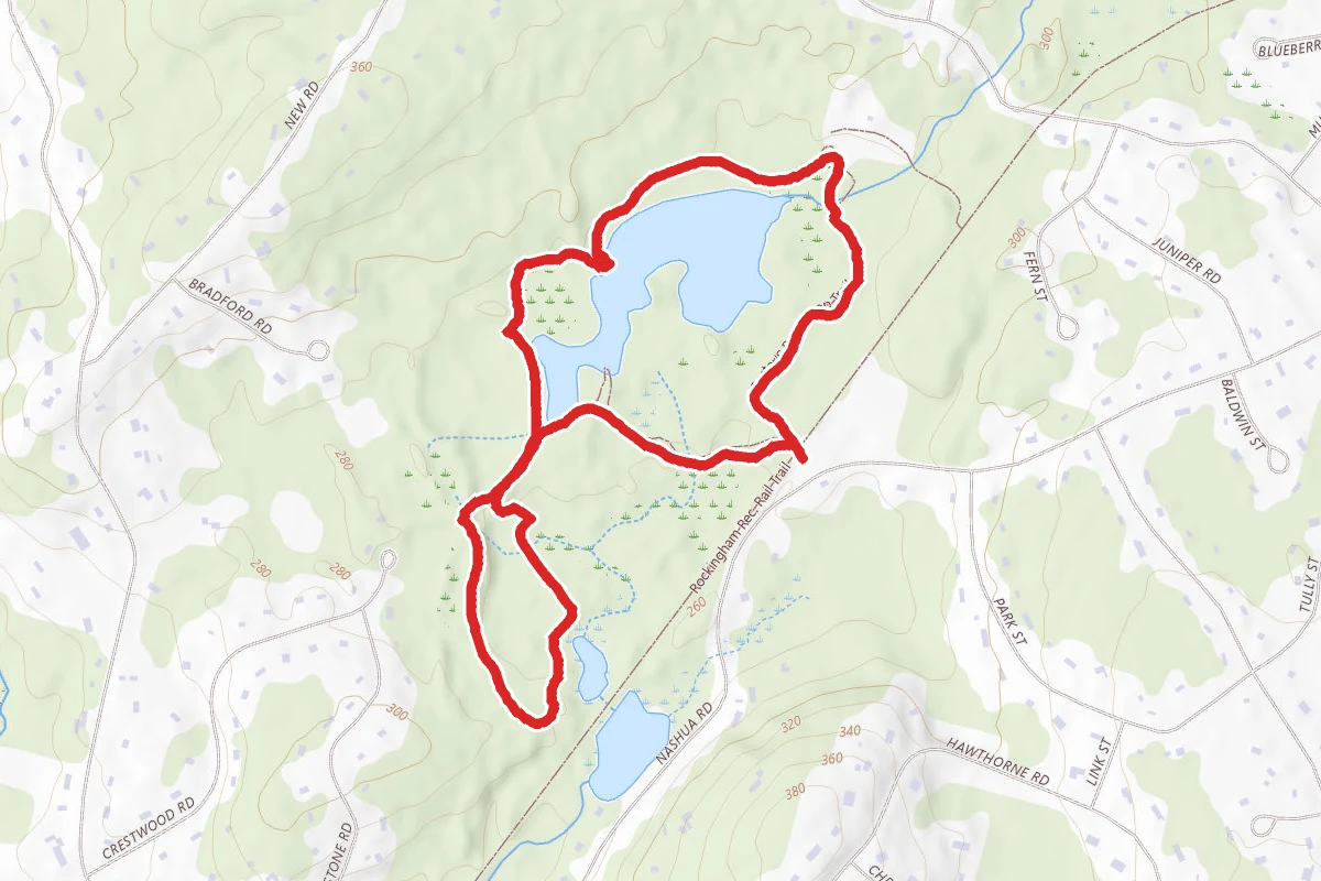 Foster's Pond Loop