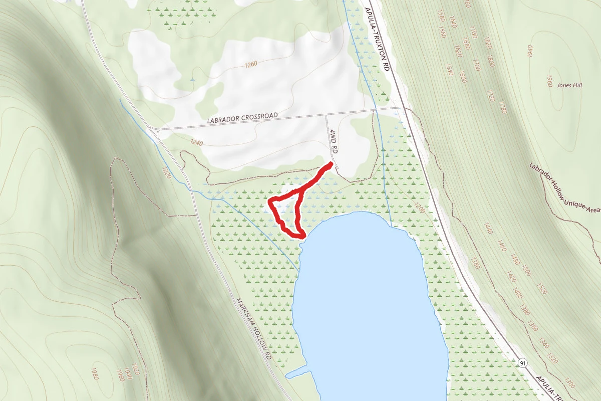 Labrador Pond Boardwalk Loop