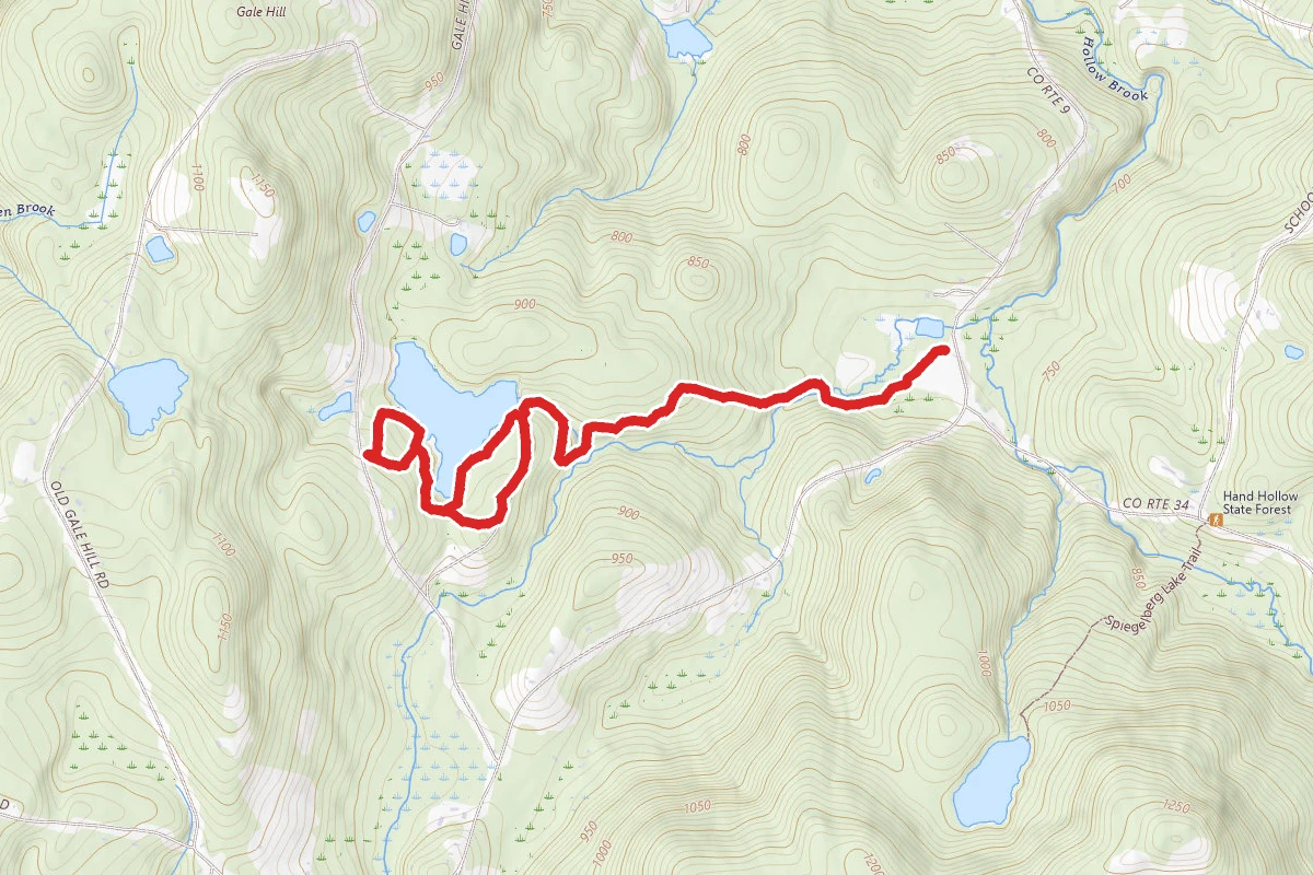 Hand Hollow Conservation Area Loop