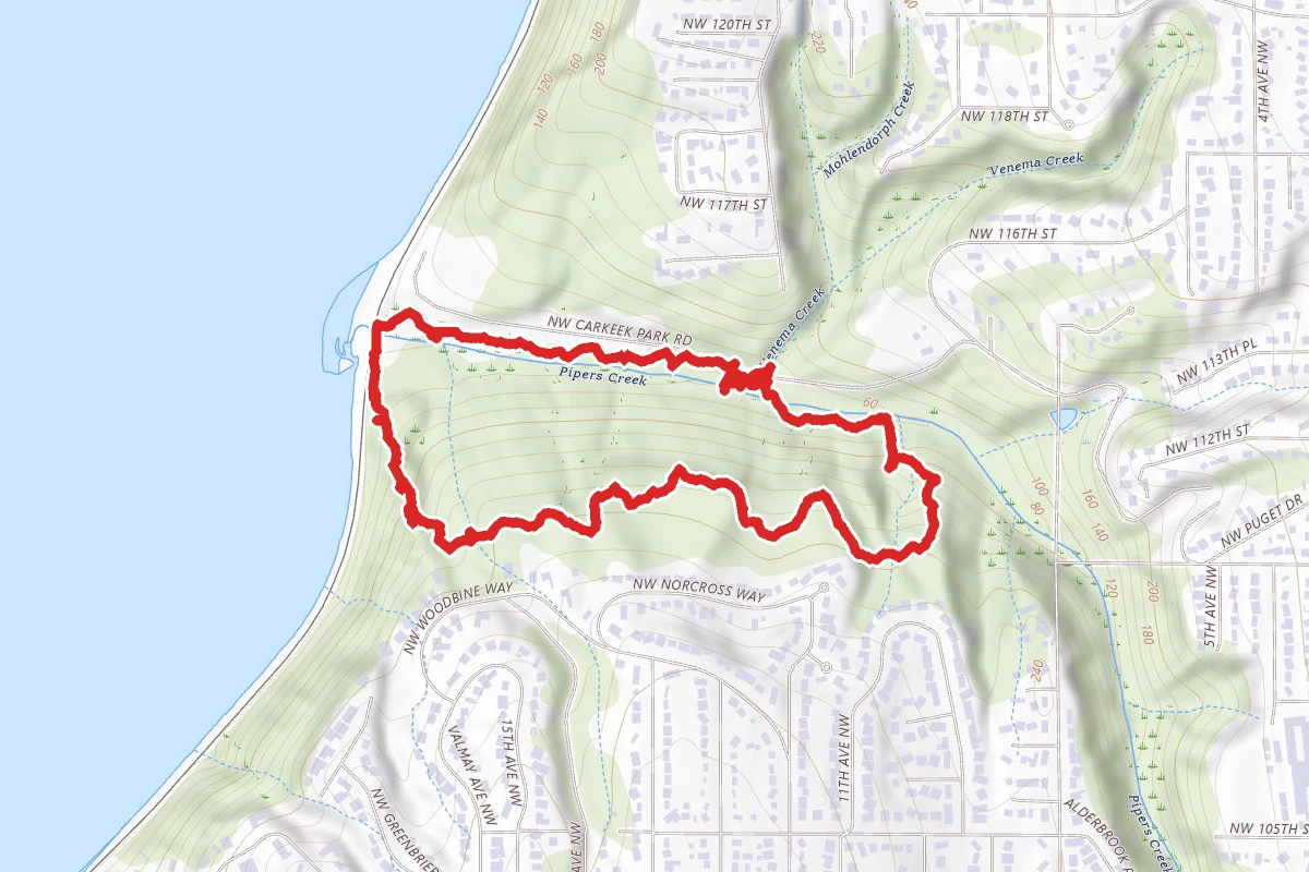 Piper's Creek and South Ridge Trail