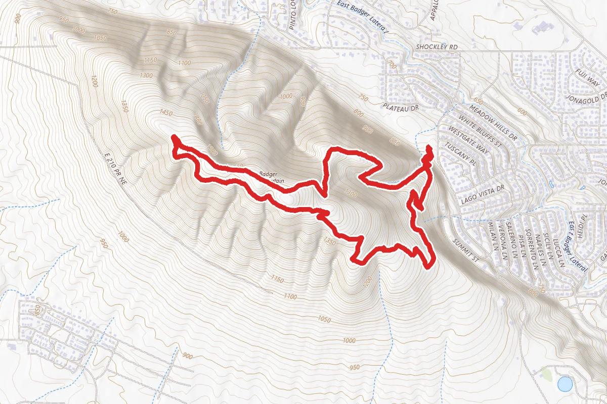 Badger Mountain CSS Loop