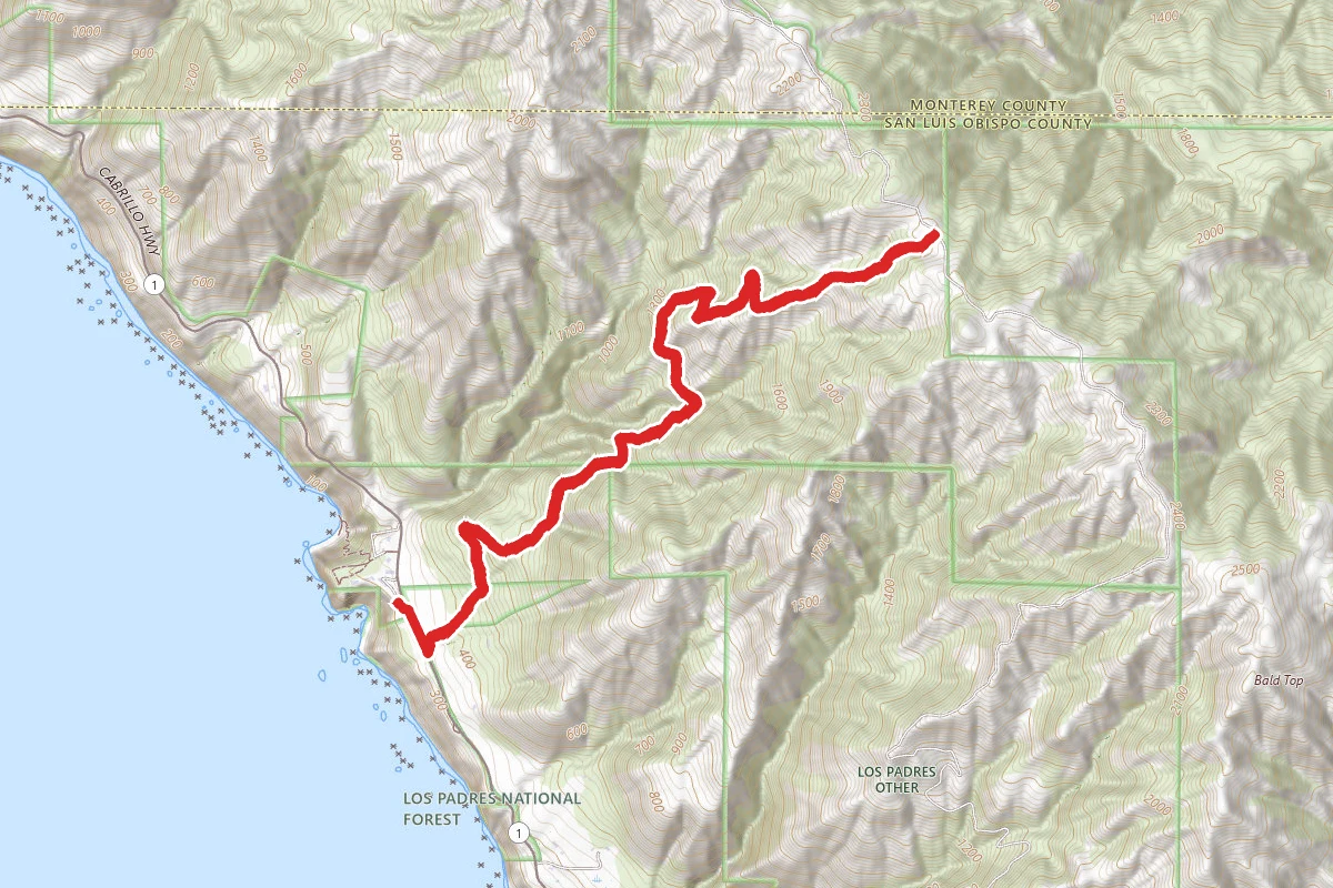 Ragged Point Fire Road Trail
