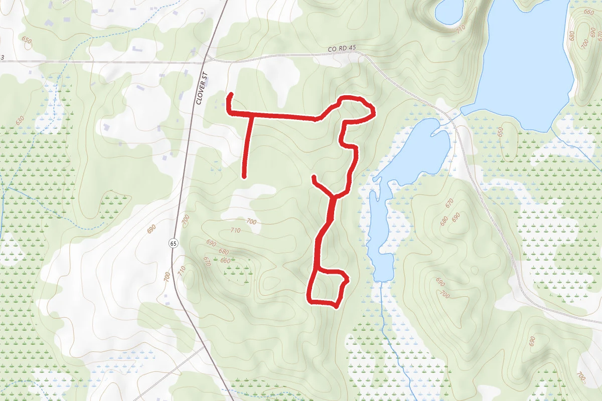 Birdsong and Swamp Trails Loop