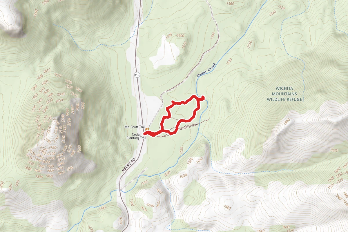 Parallel Forest Loop