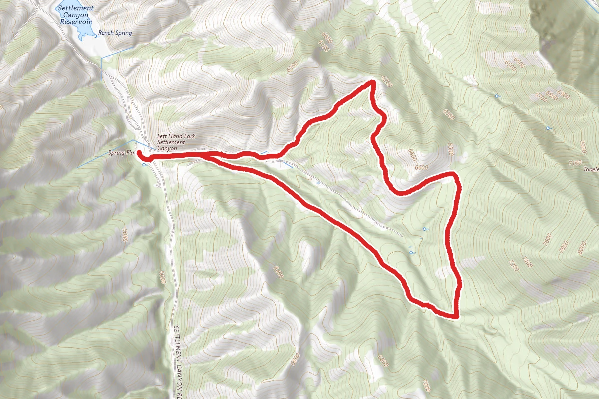 Left Hand Fork Trail Loop