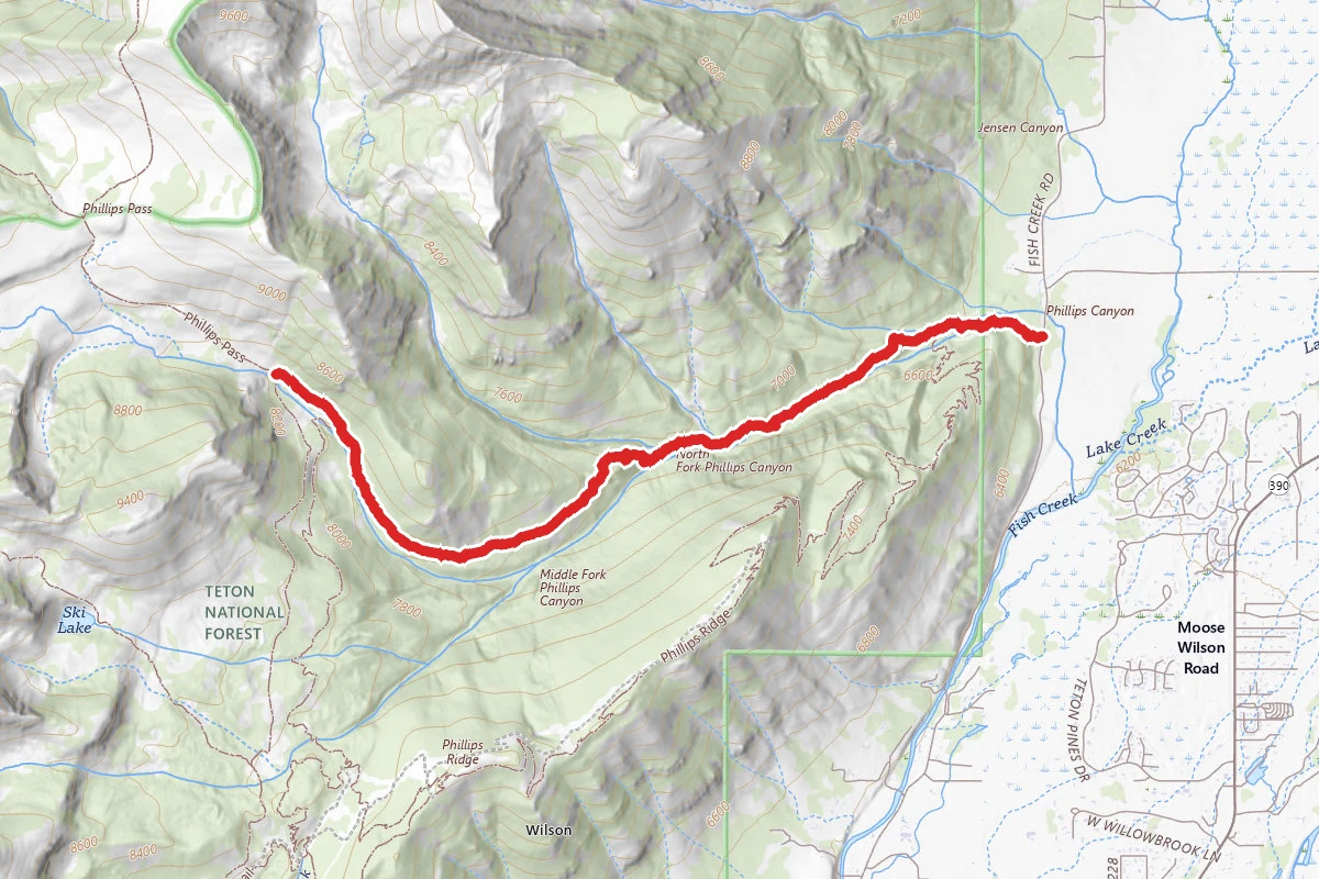 Phillips Canyon
