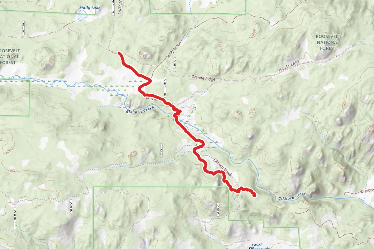 Elkhorn Creek