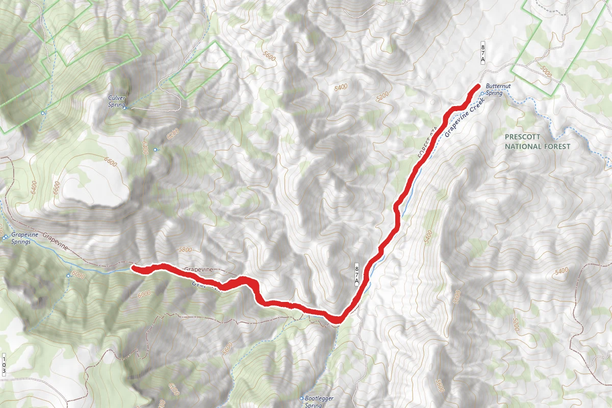 Grapevine Creek Trail