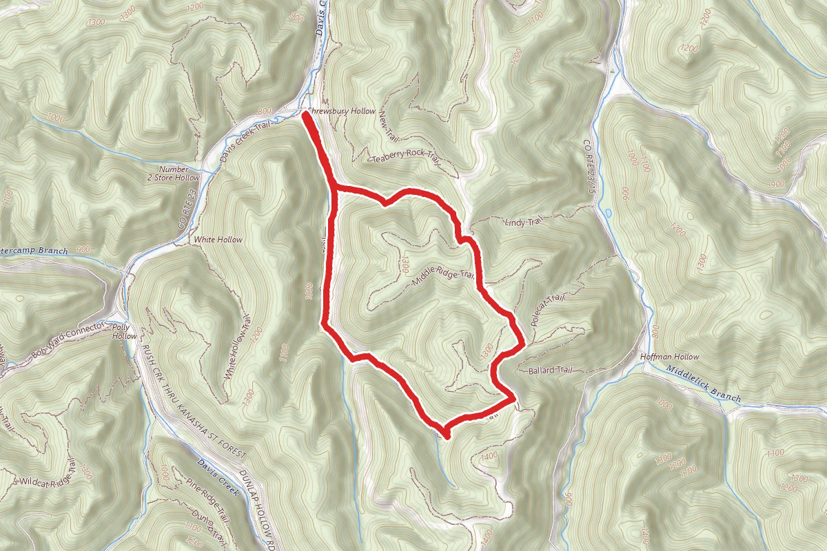 Mossy Rock, Snipe and Alligator Rock Trails