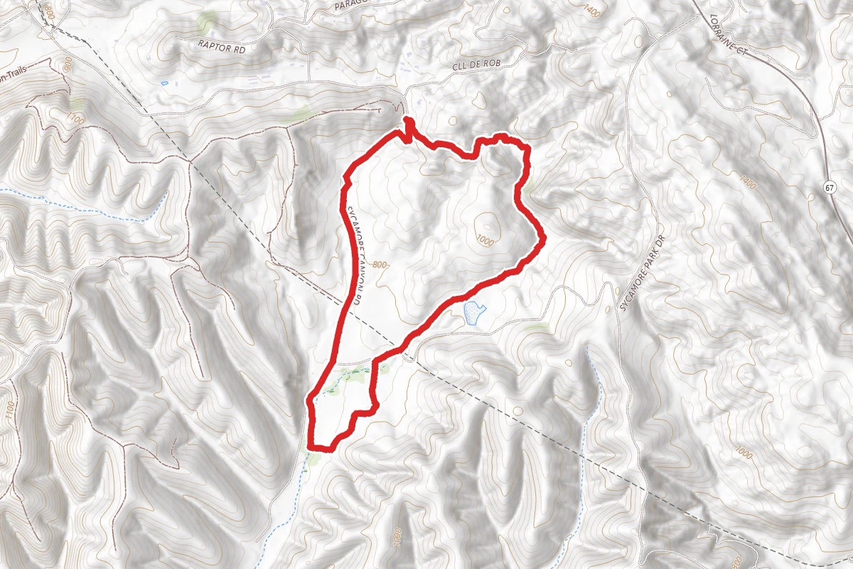 Martha Grove Trail Loop