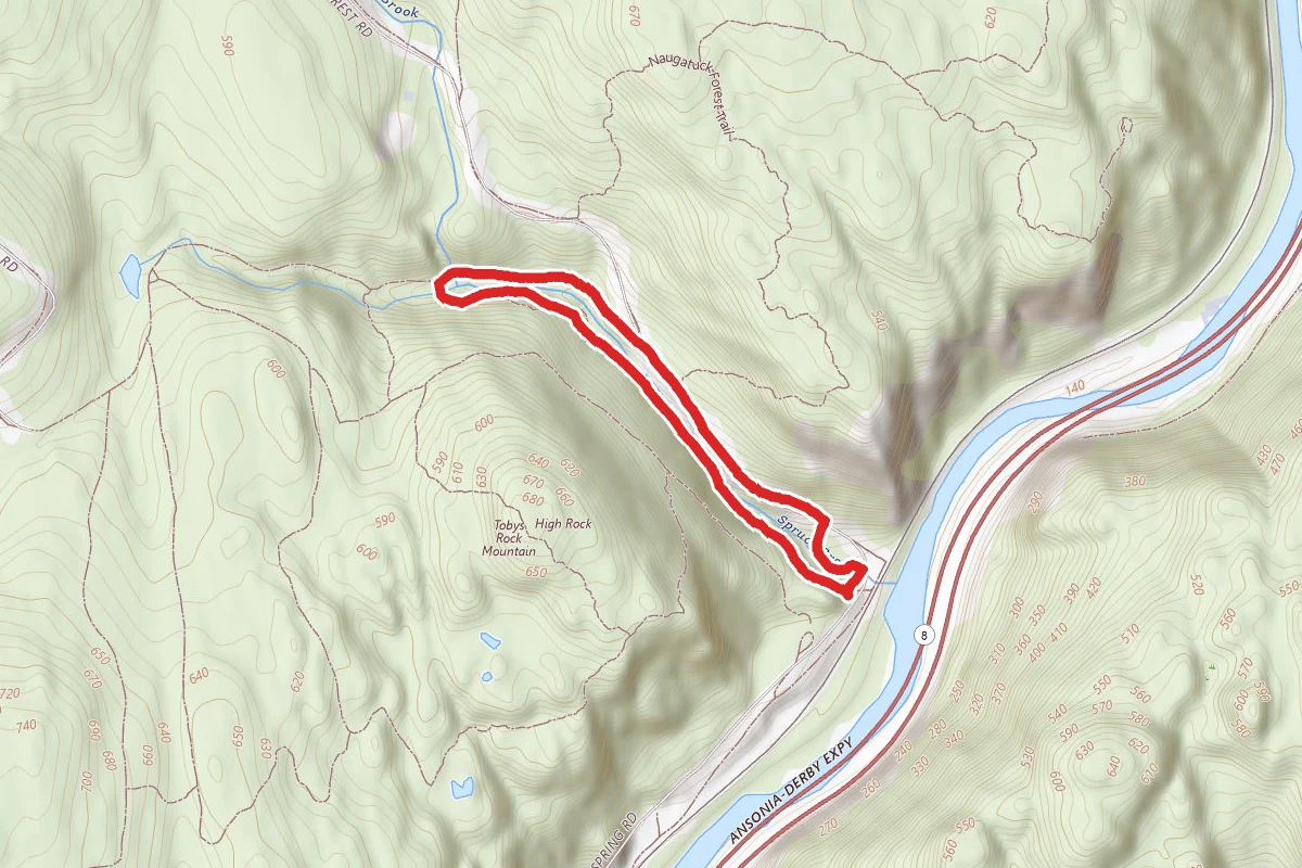 Spruce Brook Loop