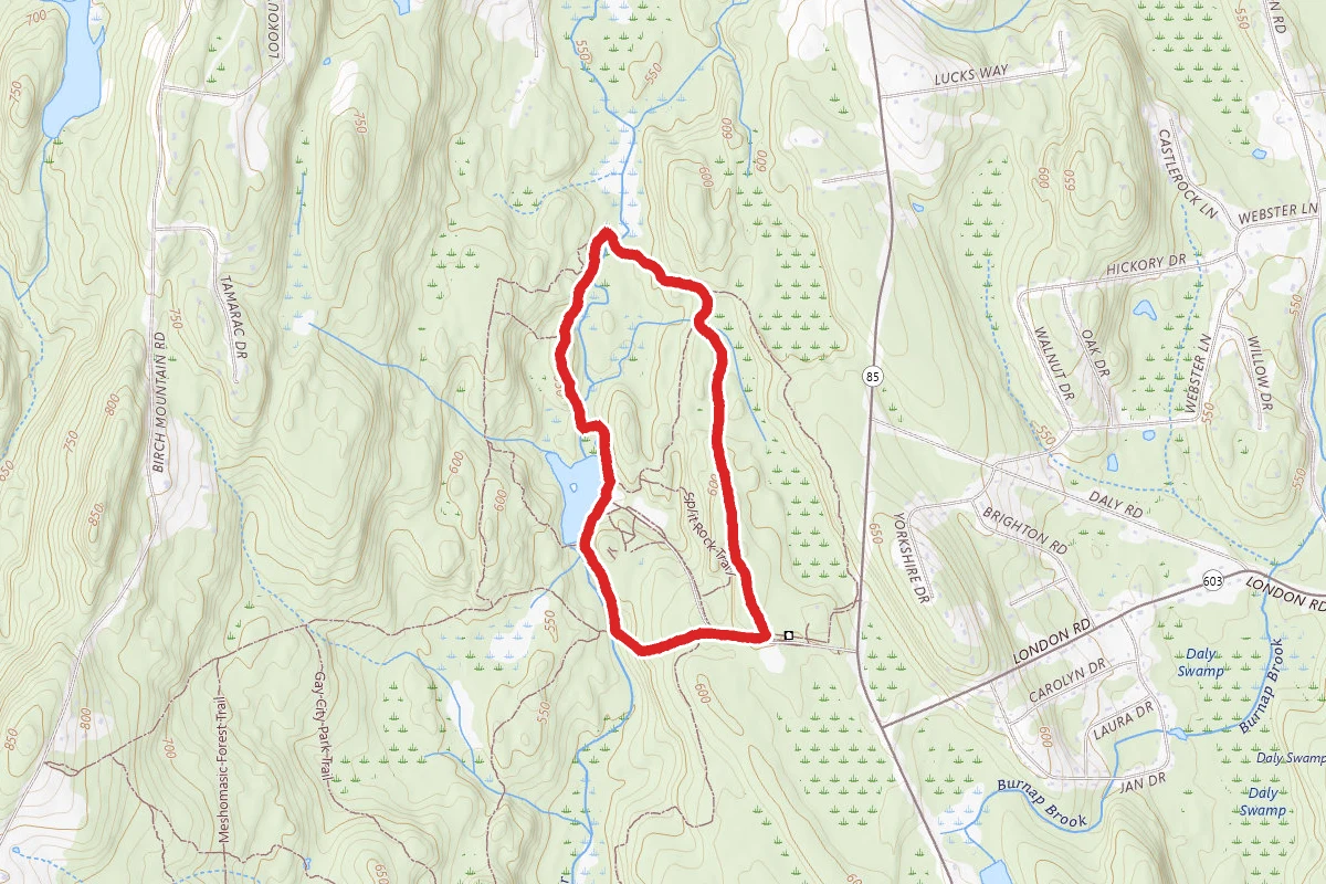 Gay City White and Orange Trail Loop