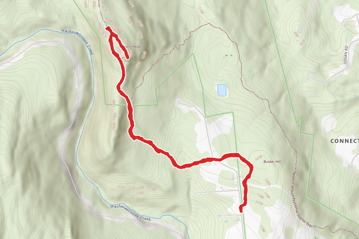 Lion's Head Peak Trail